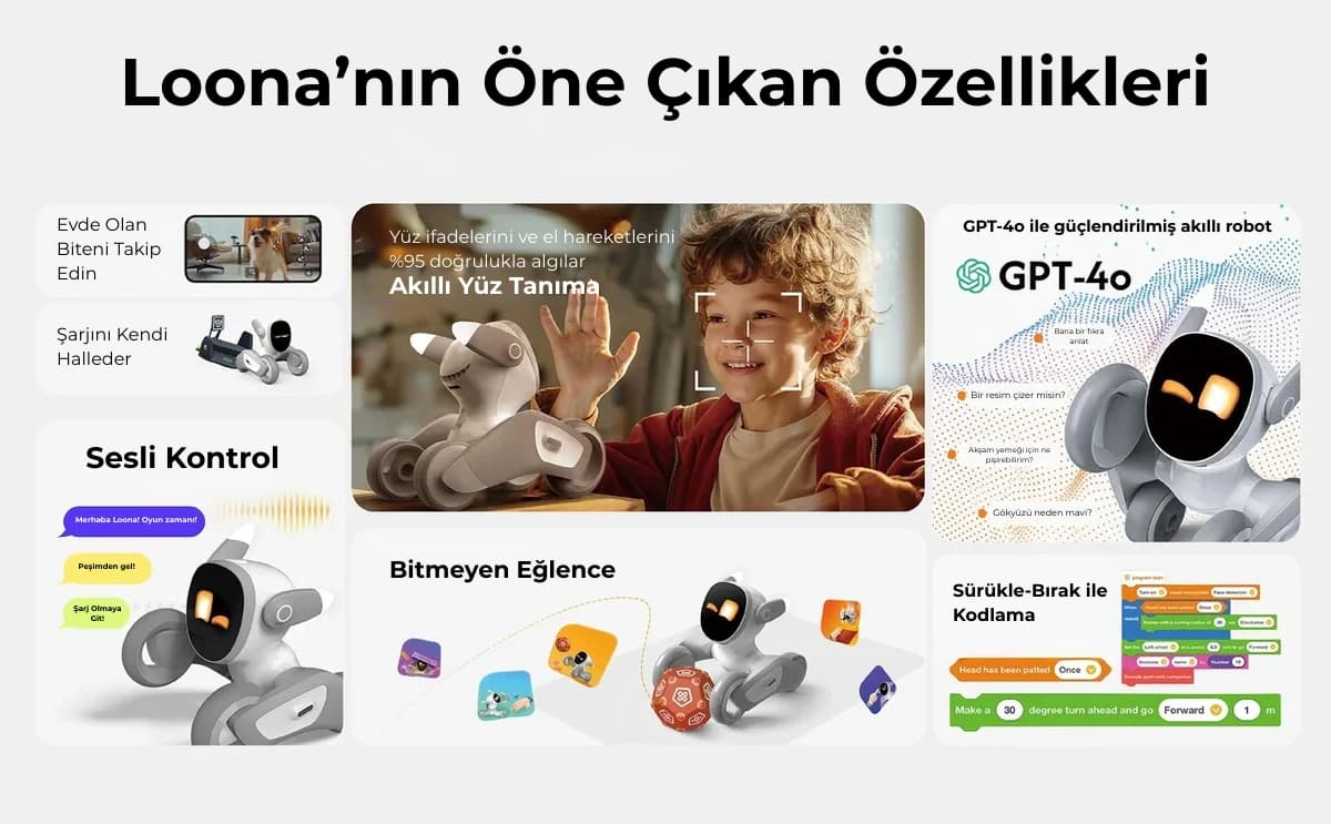 Loona sesli kontrol, yüz tanıma, GPT-4o, oyun, otomatik şarj ve Blockly özellikleri