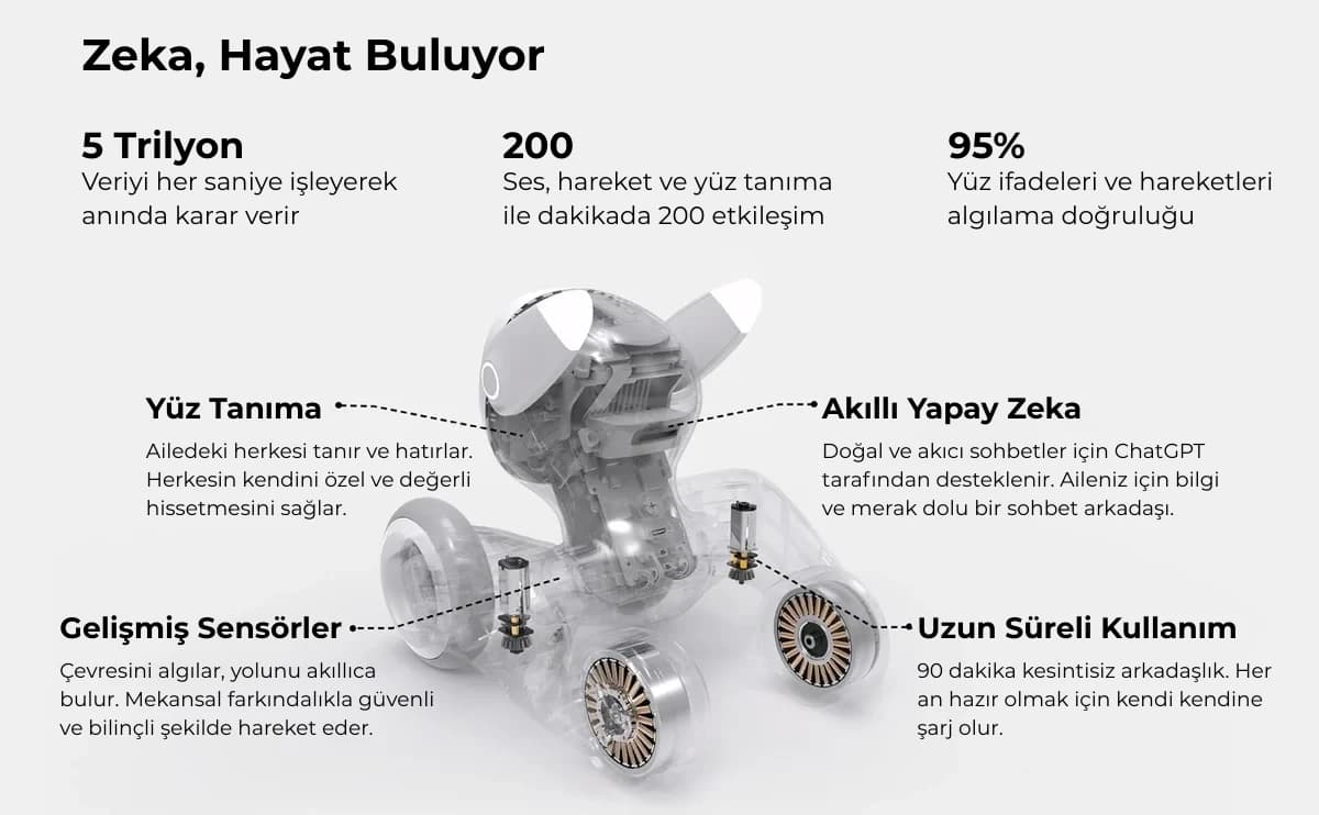 Loona yapay zekâ gücü, yüz tanıma, sensörler ve kullanım süresi