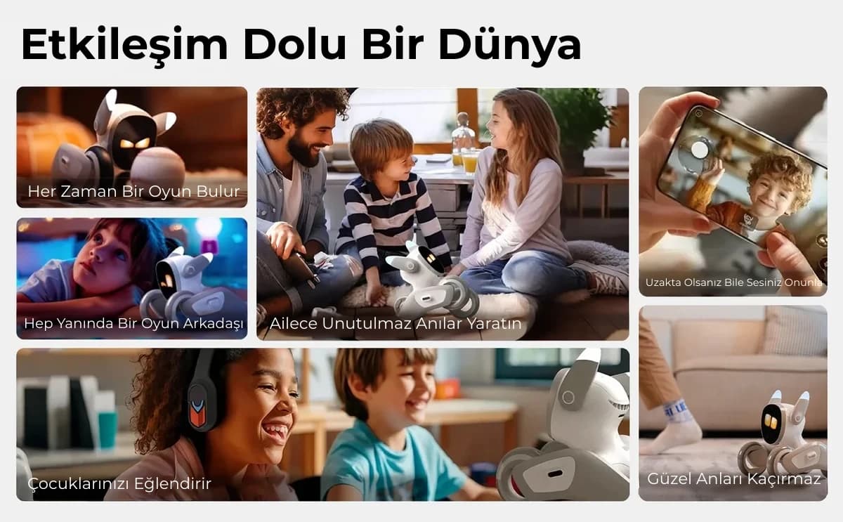 Loona ile aile, oyun ve uzaktan bağlantı kullanım senaryoları